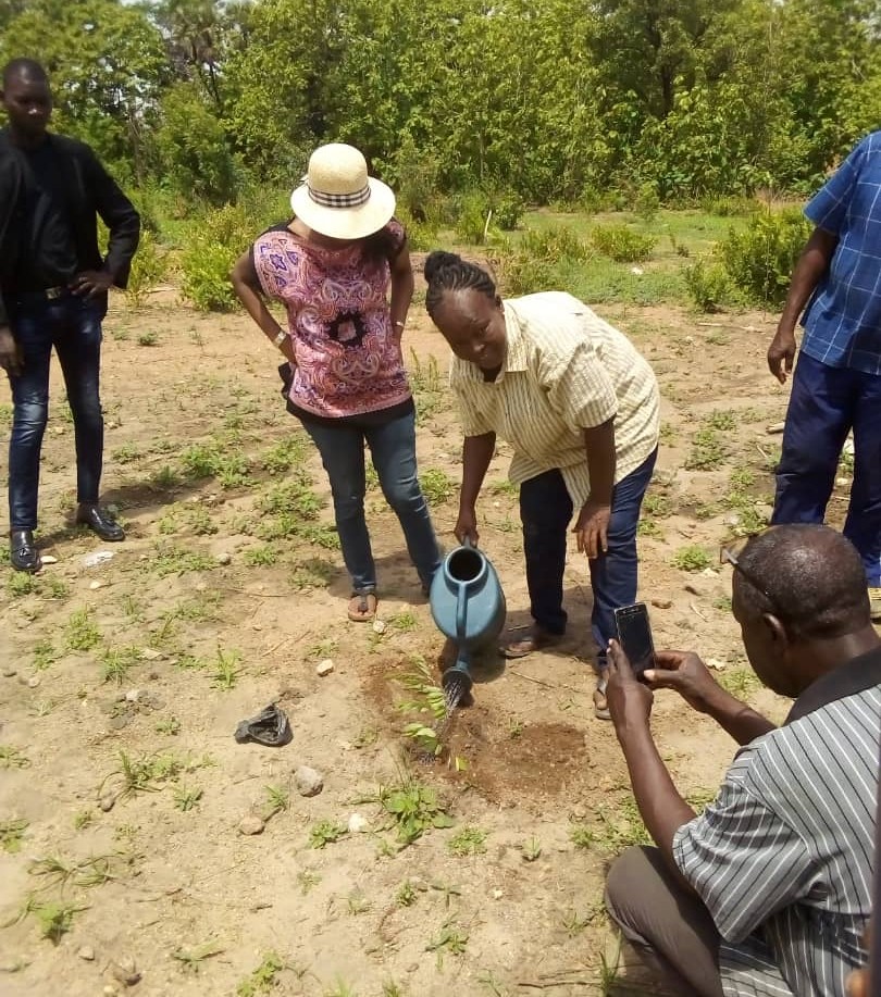 2021, Année de l’arbre au Togo: Face à la nouvelle vision de reboisement du Gouvernement, Bassar debout