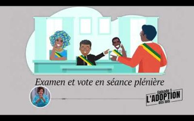 [Capsule sur le Processus du monde parlementaire au Togo] Episode 1 : l’adoption des lois