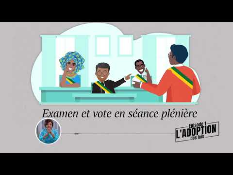 [Capsule sur le Processus du monde parlementaire au Togo] Episode 1 : l’adoption des lois